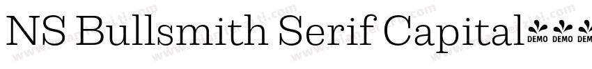 NS Bullsmith Serif Capital字体转换